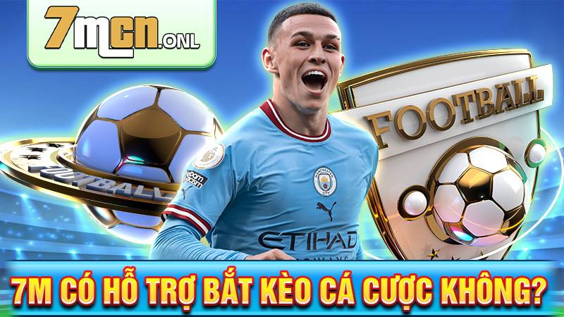 7M 177 7M không hỗ trợ cá cược